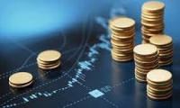 仙鹤股份：2024年前三季度净利润8